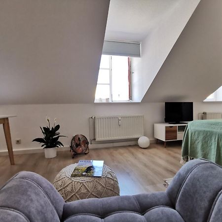 Fynbos Apartments In Der Altstadt, Frauenkirche, Historisch, Parkplatz Мейсен Экстерьер фото