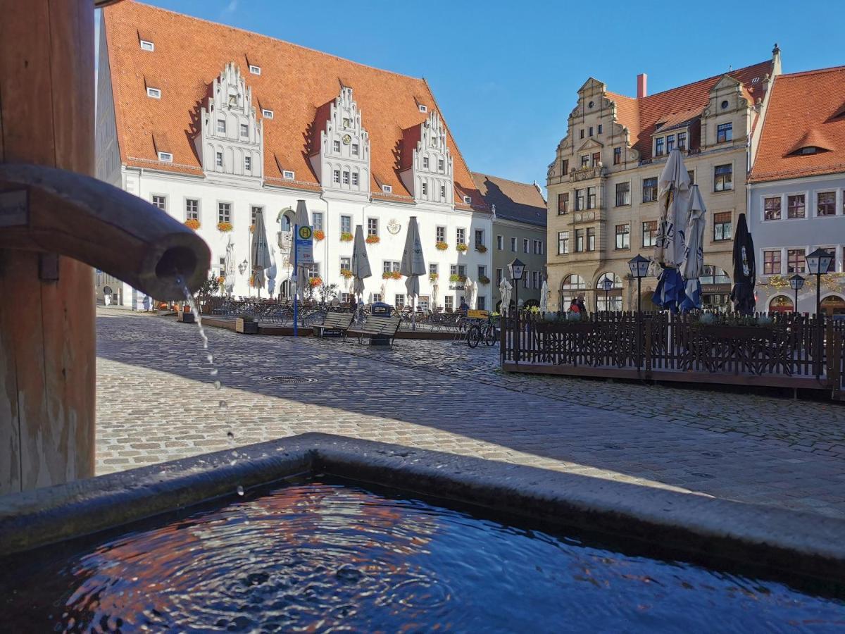 Fynbos Apartments In Der Altstadt, Frauenkirche, Historisch, Parkplatz Мейсен Экстерьер фото