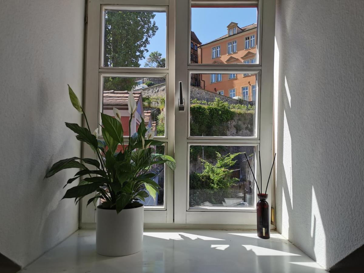 Fynbos Apartments In Der Altstadt, Frauenkirche, Historisch, Parkplatz Мейсен Экстерьер фото